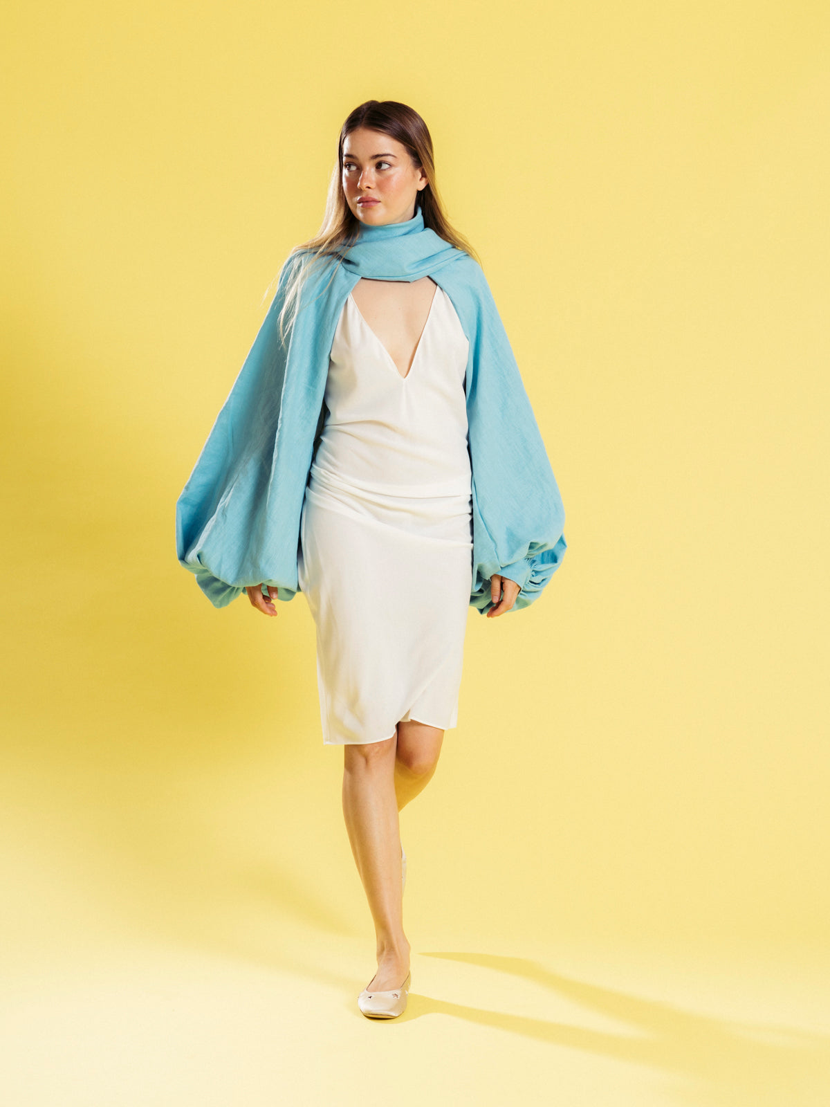 Linen Sleeves