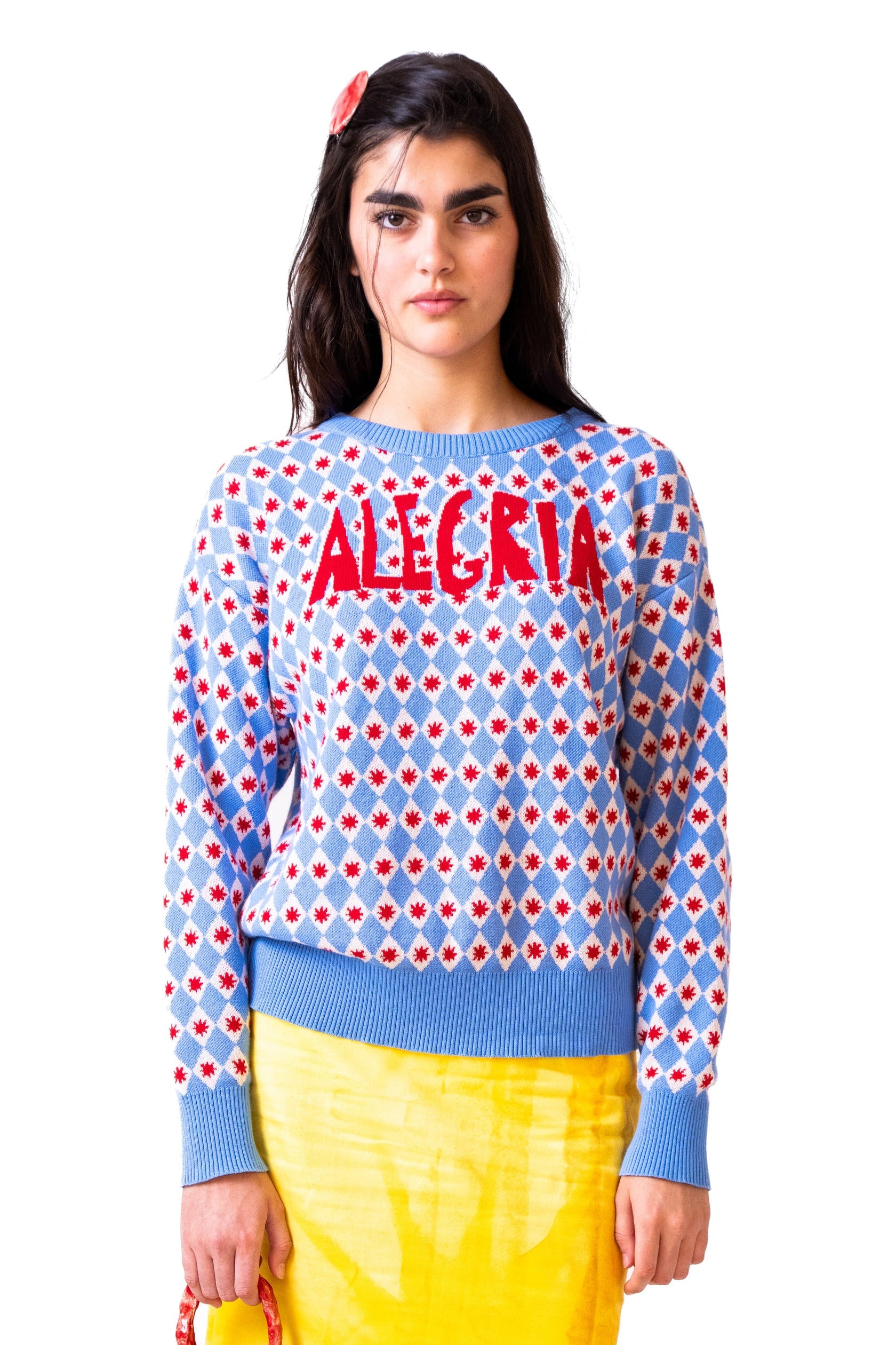 Alegria Round Neck Knit